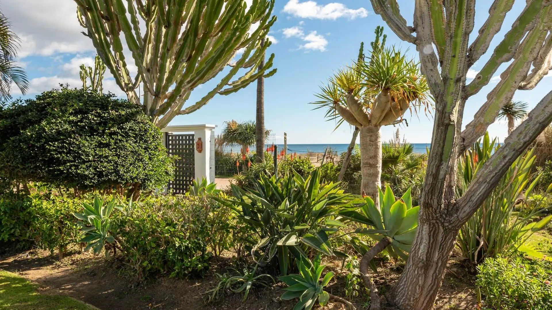 Afrodite Apartment - Frontline Beach Estepona